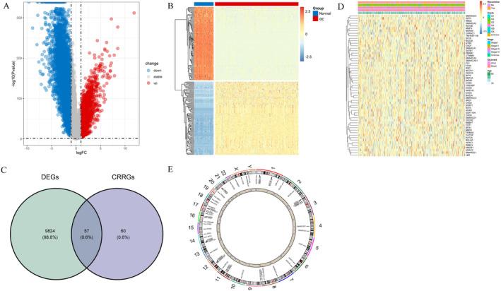 https://cdn.ncbi.nlm.nih.gov/pmc/blobs/5fd6/11811884/c75c16888b4a/CAM4-14-e70634-g003.jpg