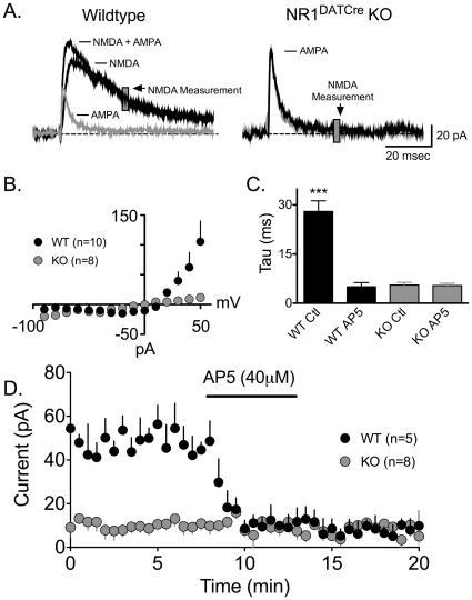 https://cdn.ncbi.nlm.nih.gov/pmc/blobs/5fd6/2922329/bdfcd57a98c8/pone.0012141.g002.jpg