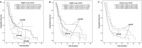 https://cdn.ncbi.nlm.nih.gov/pmc/blobs/5fd6/3404983/4ec303e4ed1e/1471-2407-12-218-3.jpg