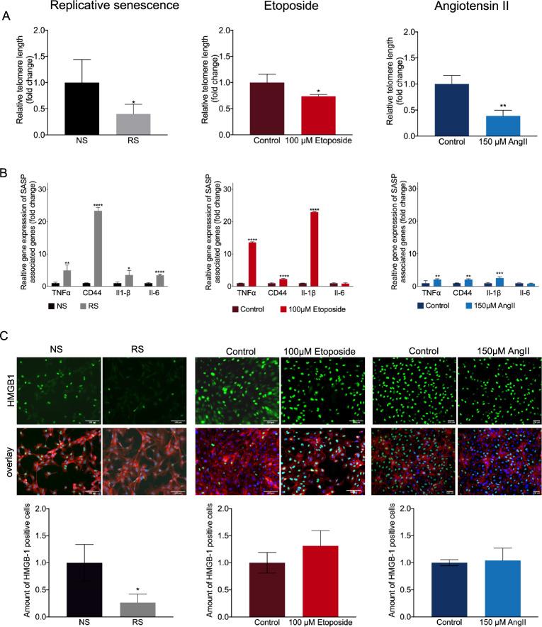 https://cdn.ncbi.nlm.nih.gov/pmc/blobs/5fd7/10882010/487c944ad77c/41598_2024_54455_Fig2_HTML.jpg