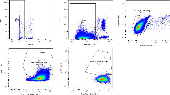 https://cdn.ncbi.nlm.nih.gov/pmc/blobs/5fd7/10882010/8b032d04dfce/41598_2024_54455_Fig5_HTML.jpg