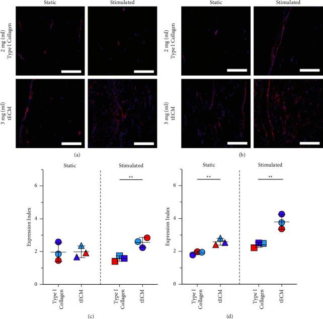 https://cdn.ncbi.nlm.nih.gov/pmc/blobs/5fd7/11918950/90186d1da295/JTERM2023-6658543.005.jpg