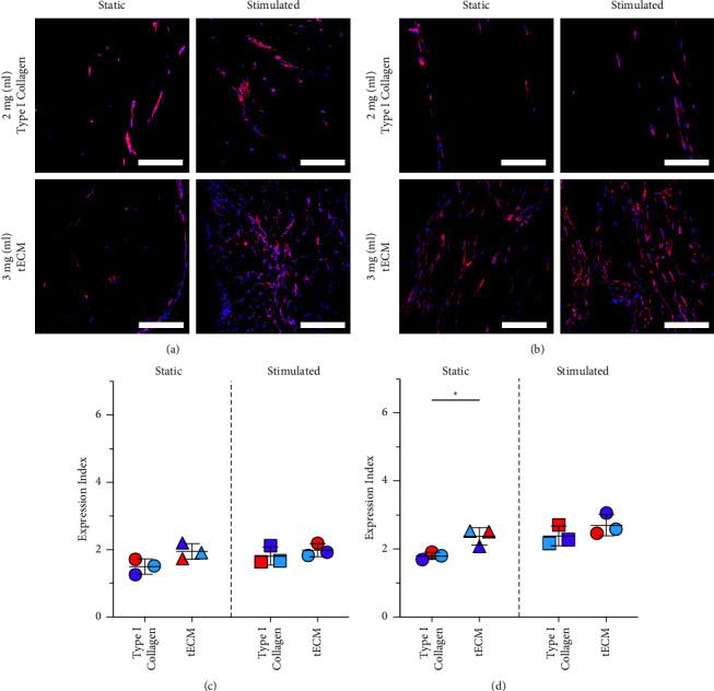 https://cdn.ncbi.nlm.nih.gov/pmc/blobs/5fd7/11918950/a3fa58ba0786/JTERM2023-6658543.006.jpg