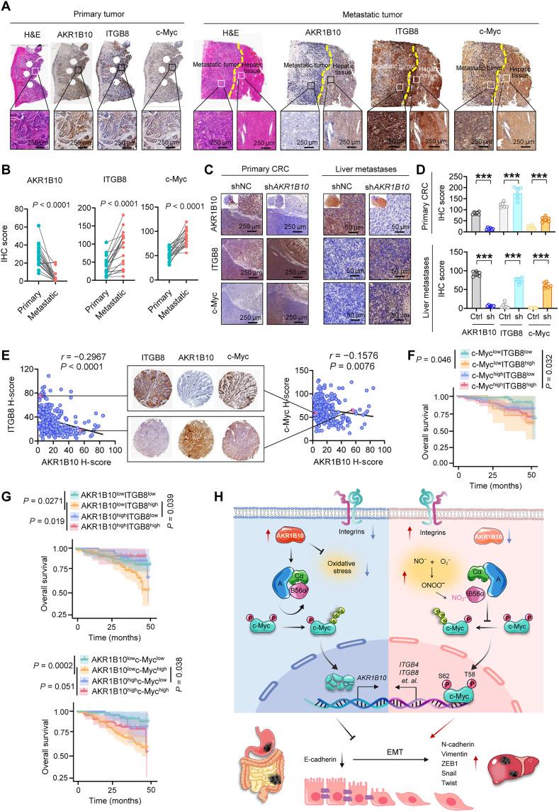 https://cdn.ncbi.nlm.nih.gov/pmc/blobs/5fd7/12372902/0d0168b4d623/sciadv.adv6937-f9.jpg