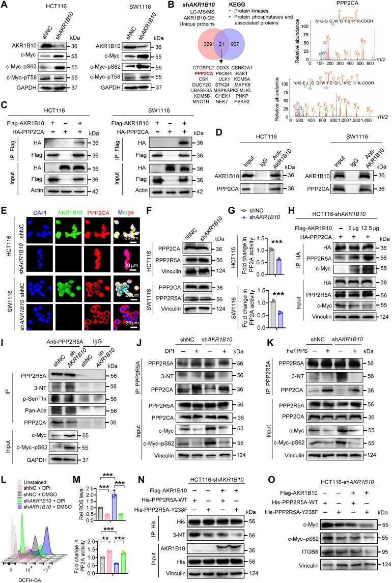 https://cdn.ncbi.nlm.nih.gov/pmc/blobs/5fd7/12372902/4adc48f8bd17/sciadv.adv6937-f5.jpg