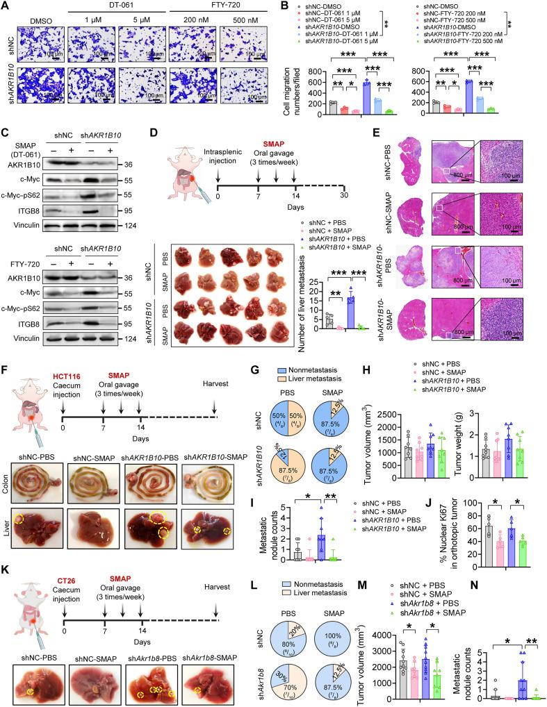 https://cdn.ncbi.nlm.nih.gov/pmc/blobs/5fd7/12372902/6993e646f03d/sciadv.adv6937-f7.jpg