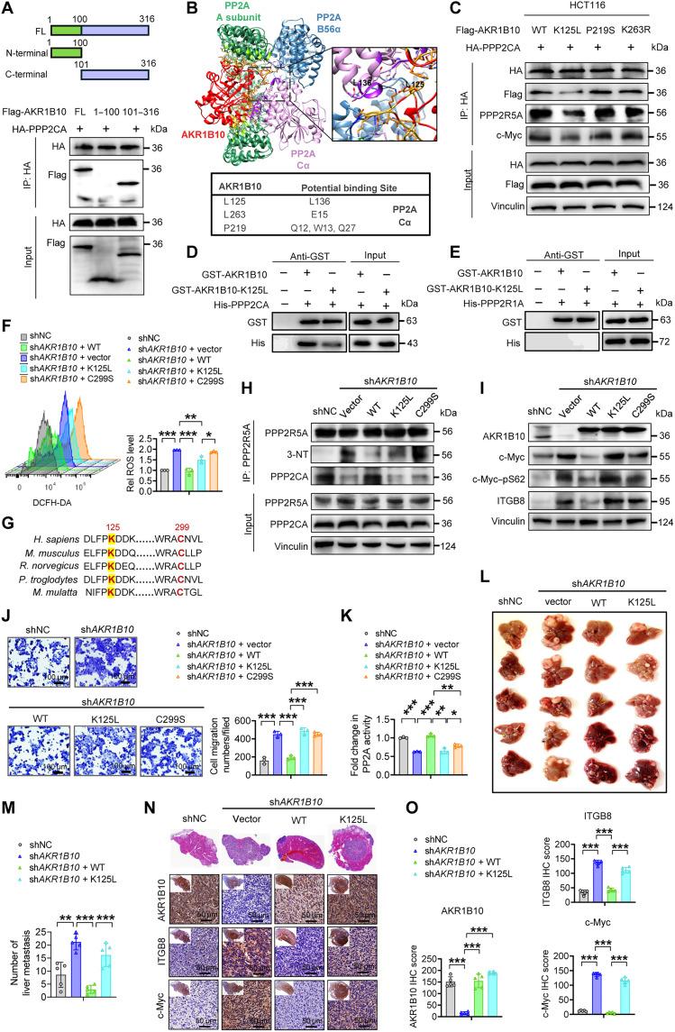 https://cdn.ncbi.nlm.nih.gov/pmc/blobs/5fd7/12372902/87b347794443/sciadv.adv6937-f6.jpg