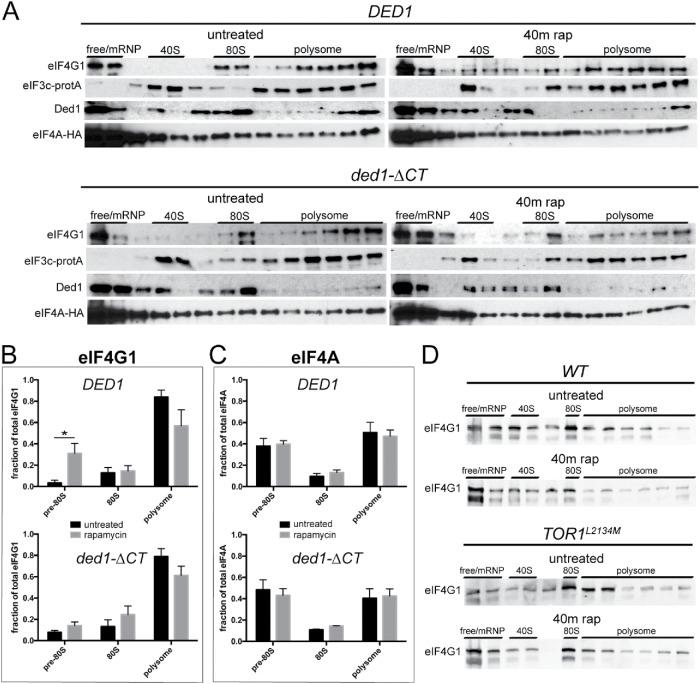 https://cdn.ncbi.nlm.nih.gov/pmc/blobs/5fd7/6743465/d11672e32ee3/mbc-30-2171-g004.jpg