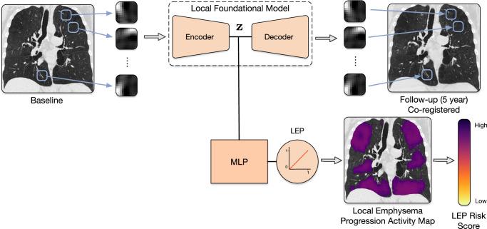 https://cdn.ncbi.nlm.nih.gov/pmc/blobs/5fd9/12394540/94ca8a8e2ca9/41746_2025_1917_Fig1_HTML.jpg