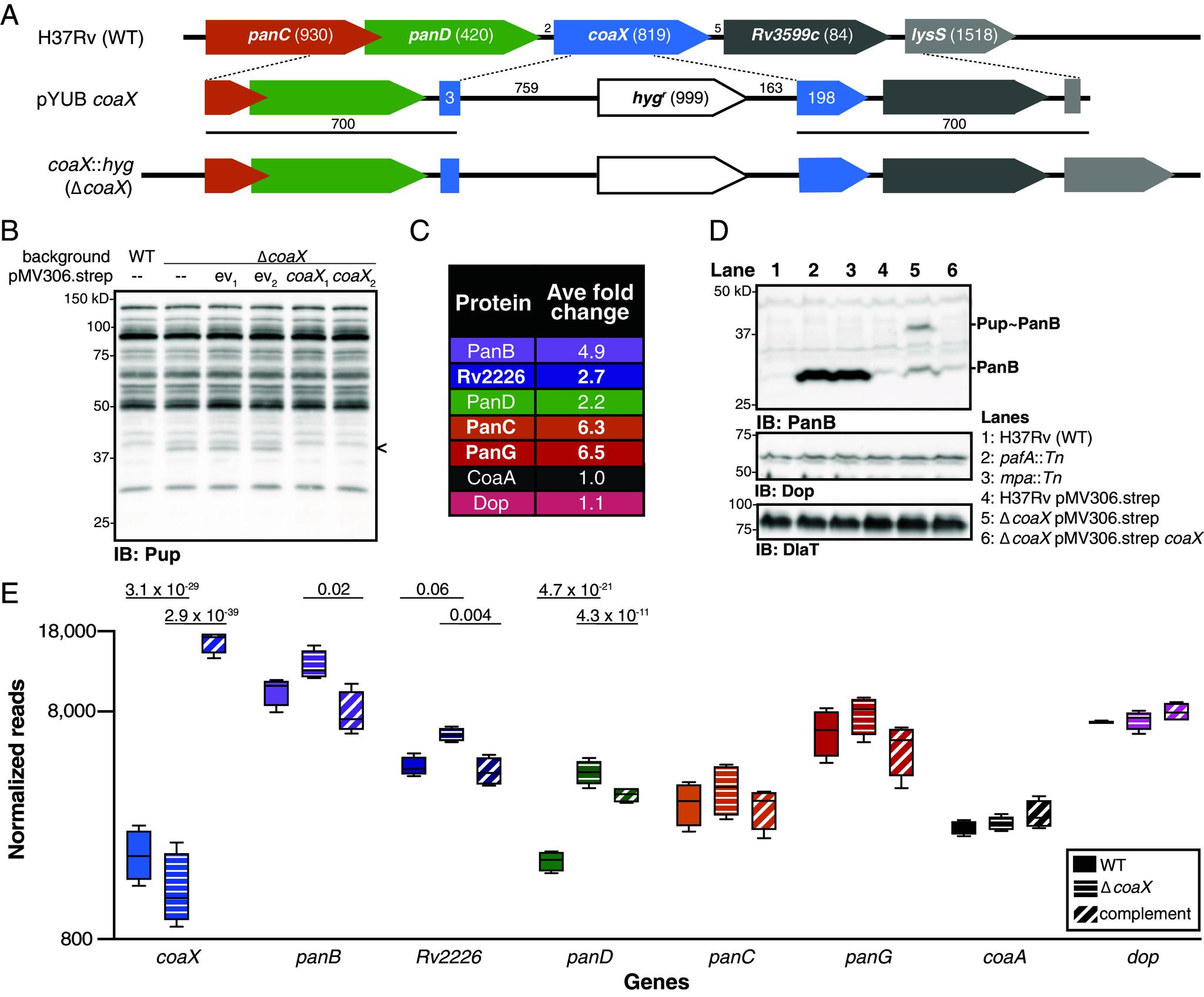 https://cdn.ncbi.nlm.nih.gov/pmc/blobs/5fda/11626117/cf42d3b3d5c5/pnas.2407239121fig02.jpg