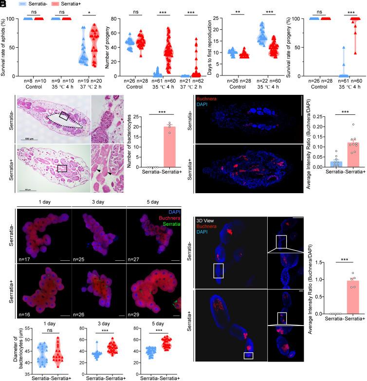 https://cdn.ncbi.nlm.nih.gov/pmc/blobs/5fda/11665910/43e96bc4549b/pnas.2415651121fig01.jpg