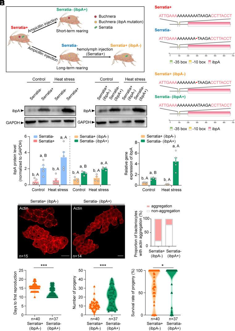 https://cdn.ncbi.nlm.nih.gov/pmc/blobs/5fda/11665910/6a30b1ada736/pnas.2415651121fig03.jpg