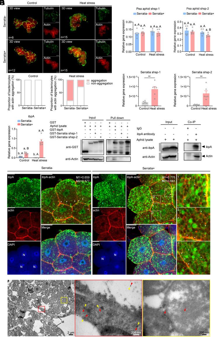 https://cdn.ncbi.nlm.nih.gov/pmc/blobs/5fda/11665910/7db9536f4232/pnas.2415651121fig02.jpg