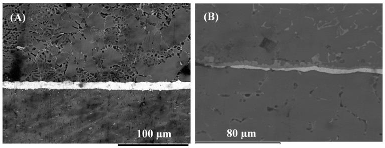 https://cdn.ncbi.nlm.nih.gov/pmc/blobs/5fdc/6473947/3ecea502deb1/nanomaterials-09-00370-g007.jpg
