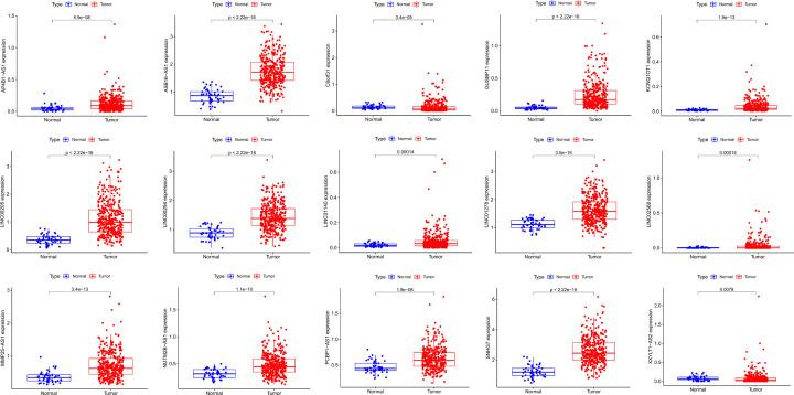 https://cdn.ncbi.nlm.nih.gov/pmc/blobs/5fdf/9245079/daff7b3d2aec/bsr-42-bsr20220674-g8.jpg