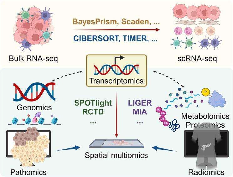 https://cdn.ncbi.nlm.nih.gov/pmc/blobs/5fe0/11232163/3f42fac4f889/12943_2024_2050_Fig4_HTML.jpg