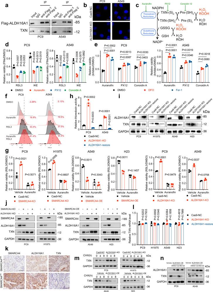 https://cdn.ncbi.nlm.nih.gov/pmc/blobs/5fe0/12405490/b67e4bf5ce44/41467_2025_63687_Fig4_HTML.jpg