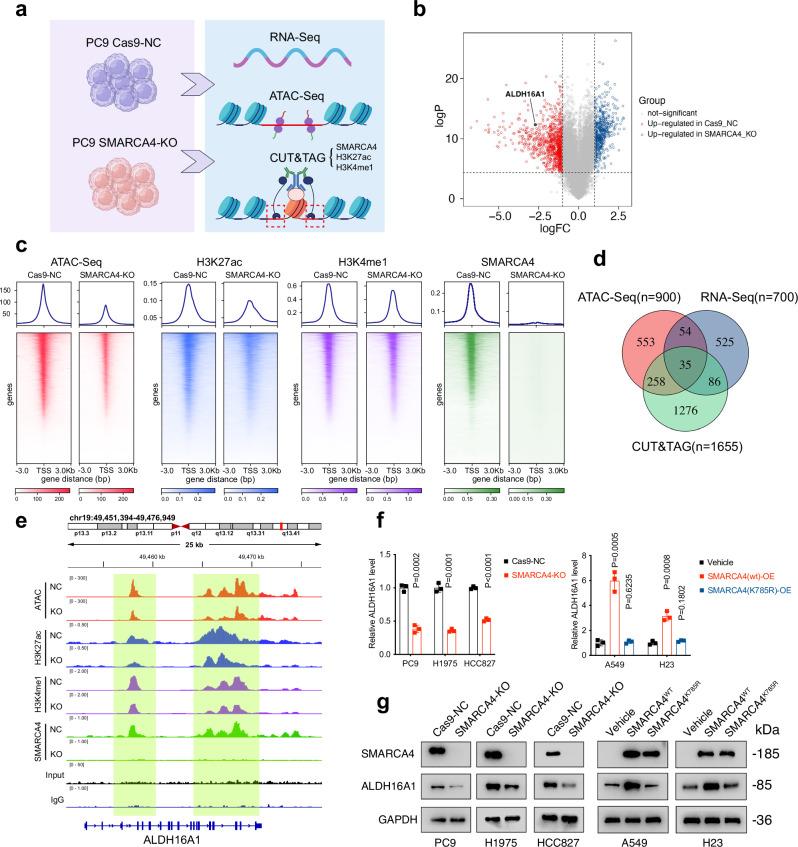 https://cdn.ncbi.nlm.nih.gov/pmc/blobs/5fe0/12405490/be3bbf77c57a/41467_2025_63687_Fig2_HTML.jpg