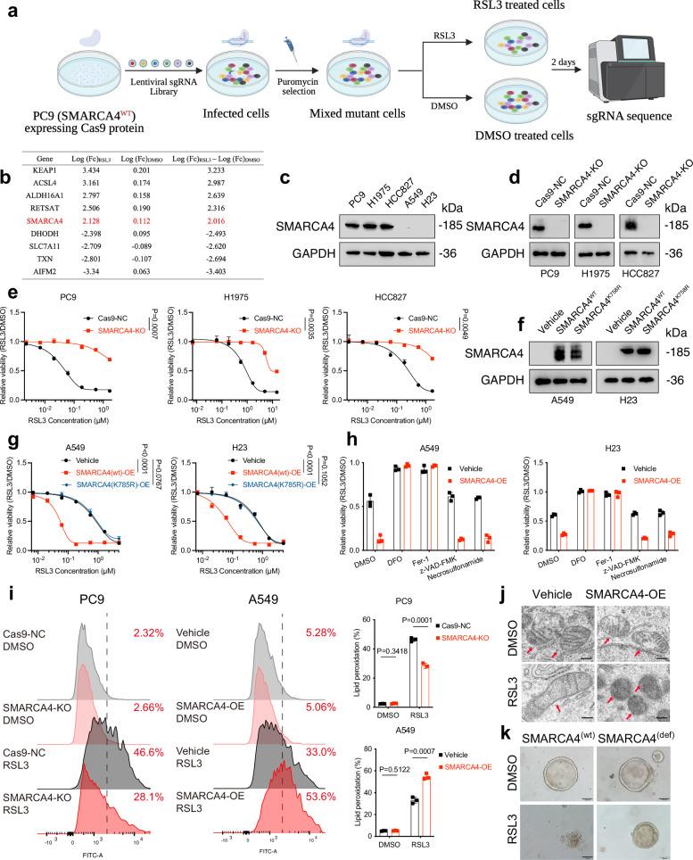 https://cdn.ncbi.nlm.nih.gov/pmc/blobs/5fe0/12405490/e3dda0517be6/41467_2025_63687_Fig1_HTML.jpg
