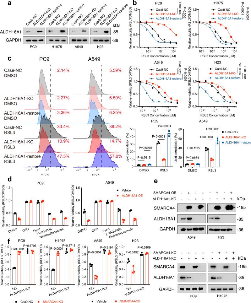 https://cdn.ncbi.nlm.nih.gov/pmc/blobs/5fe0/12405490/e6898fdc8612/41467_2025_63687_Fig3_HTML.jpg