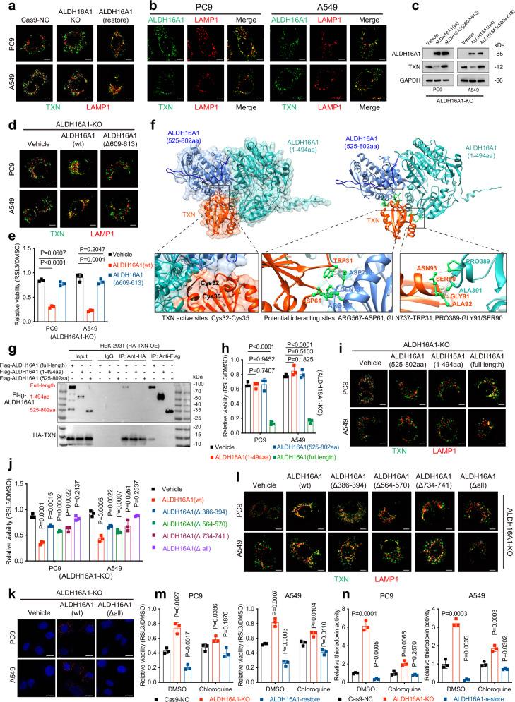 https://cdn.ncbi.nlm.nih.gov/pmc/blobs/5fe0/12405490/eb3eec8e5c26/41467_2025_63687_Fig5_HTML.jpg