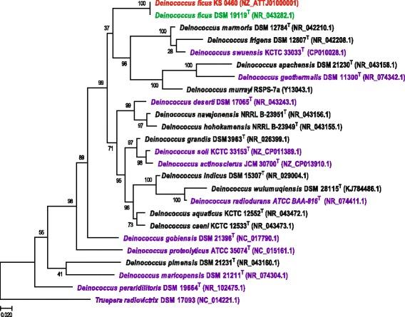 https://cdn.ncbi.nlm.nih.gov/pmc/blobs/5fe4/5534035/b8ef1f22557b/40793_2017_258_Fig1_HTML.jpg