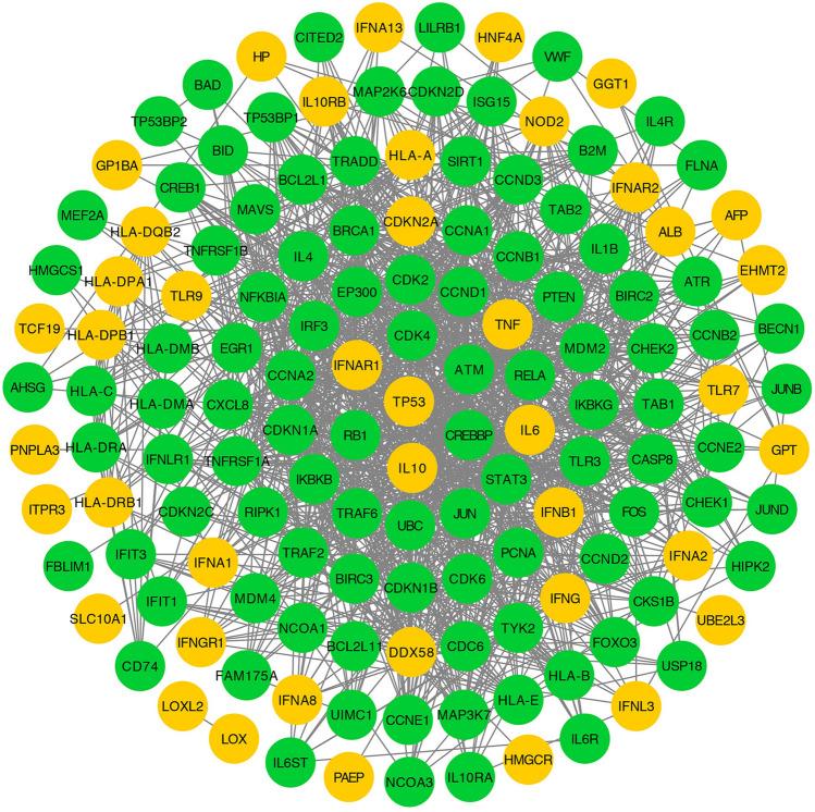 https://cdn.ncbi.nlm.nih.gov/pmc/blobs/5fe5/7351787/5efedb0bf089/41598_2020_68224_Fig3_HTML.jpg