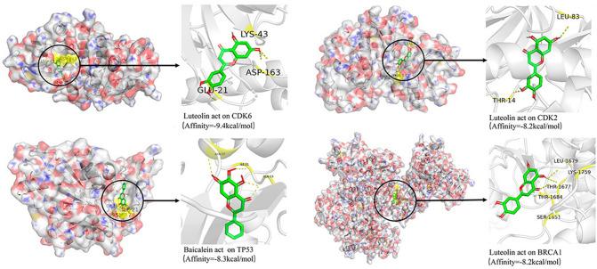 https://cdn.ncbi.nlm.nih.gov/pmc/blobs/5fe5/7351787/c921f198436d/41598_2020_68224_Fig6_HTML.jpg