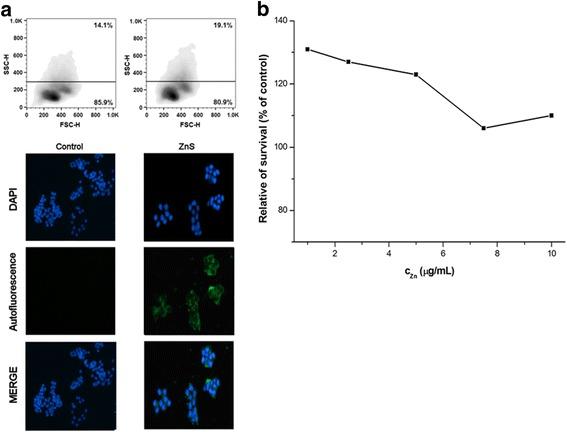 https://cdn.ncbi.nlm.nih.gov/pmc/blobs/5fe6/5418165/99e70b37919c/11671_2017_2103_Fig6_HTML.jpg