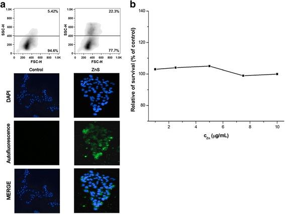 https://cdn.ncbi.nlm.nih.gov/pmc/blobs/5fe6/5418165/a298be4c65bd/11671_2017_2103_Fig5_HTML.jpg