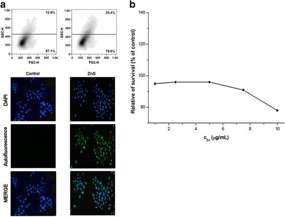 https://cdn.ncbi.nlm.nih.gov/pmc/blobs/5fe6/5418165/b430bb0b49c9/11671_2017_2103_Fig7_HTML.jpg