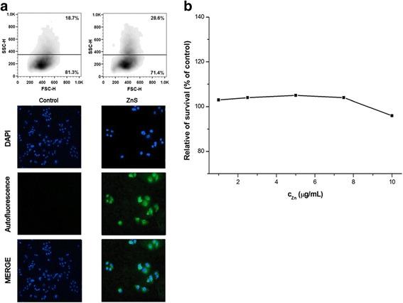 https://cdn.ncbi.nlm.nih.gov/pmc/blobs/5fe6/5418165/ecaa98a89b97/11671_2017_2103_Fig8_HTML.jpg