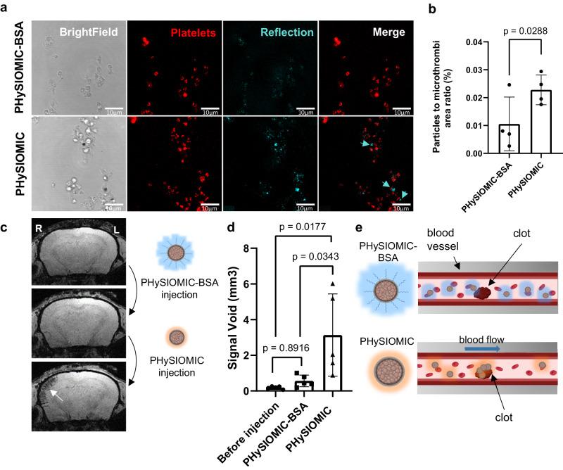 https://cdn.ncbi.nlm.nih.gov/pmc/blobs/5fe9/11176332/90a37b00680e/41467_2024_49480_Fig5_HTML.jpg