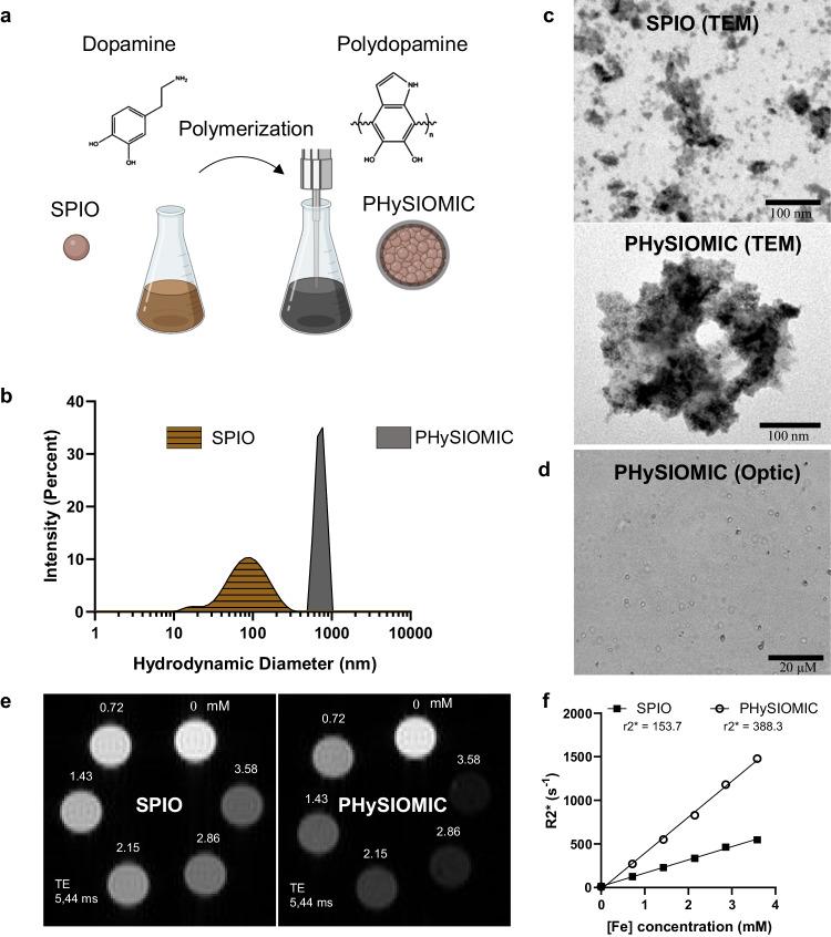 https://cdn.ncbi.nlm.nih.gov/pmc/blobs/5fe9/11176332/a000bf6ea18c/41467_2024_49480_Fig1_HTML.jpg