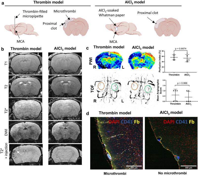 https://cdn.ncbi.nlm.nih.gov/pmc/blobs/5fe9/11176332/a9557c723d72/41467_2024_49480_Fig3_HTML.jpg