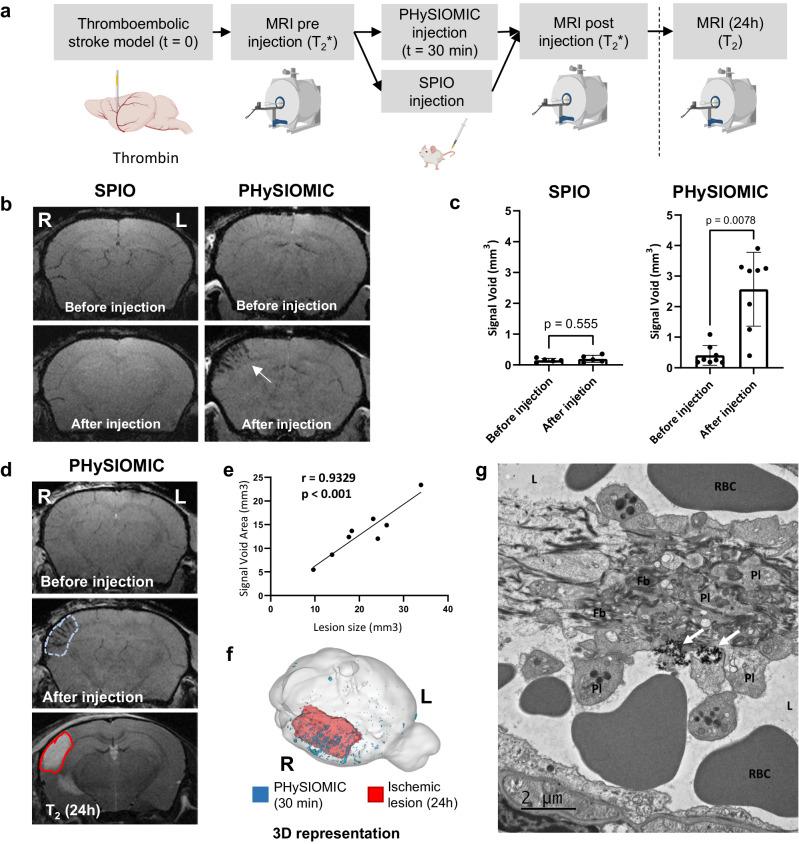 https://cdn.ncbi.nlm.nih.gov/pmc/blobs/5fe9/11176332/b729fceda8b7/41467_2024_49480_Fig2_HTML.jpg