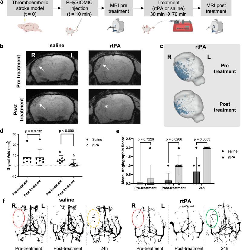 https://cdn.ncbi.nlm.nih.gov/pmc/blobs/5fe9/11176332/fb5f88e280fd/41467_2024_49480_Fig4_HTML.jpg