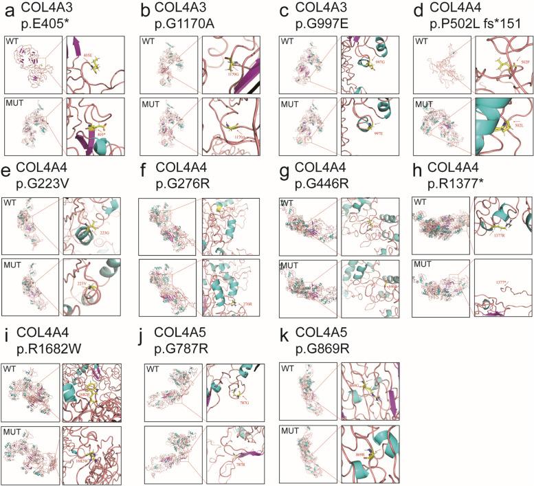 https://cdn.ncbi.nlm.nih.gov/pmc/blobs/5fe9/11229269/3b98f535065b/12920_2024_1953_Fig4_HTML.jpg