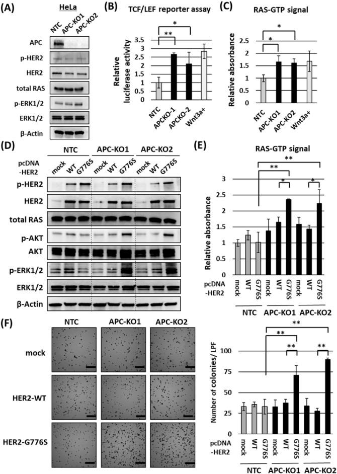 https://cdn.ncbi.nlm.nih.gov/pmc/blobs/5feb/9163061/960e362122b4/41598_2022_13189_Fig4_HTML.jpg