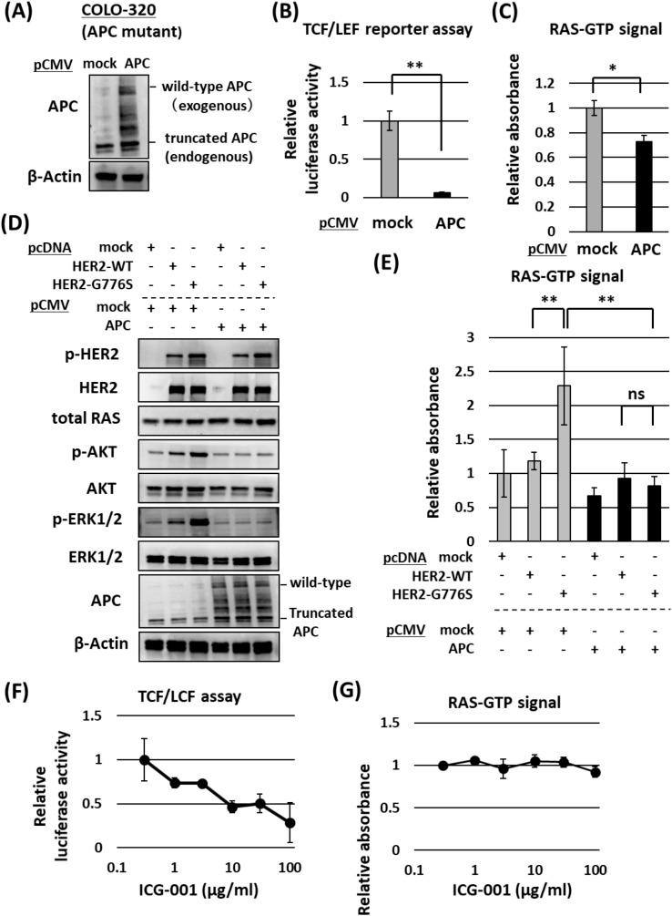 https://cdn.ncbi.nlm.nih.gov/pmc/blobs/5feb/9163061/f45c89b712ed/41598_2022_13189_Fig5_HTML.jpg