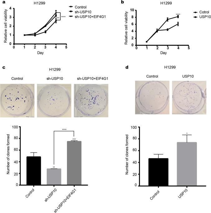 https://cdn.ncbi.nlm.nih.gov/pmc/blobs/5fec/11467297/65ee048ee643/41598_2024_74490_Fig4_HTML.jpg