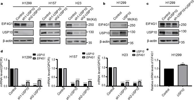 https://cdn.ncbi.nlm.nih.gov/pmc/blobs/5fec/11467297/8071f83df596/41598_2024_74490_Fig1_HTML.jpg