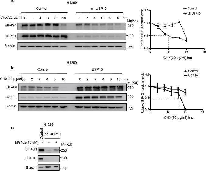 https://cdn.ncbi.nlm.nih.gov/pmc/blobs/5fec/11467297/cc8e5e7c3533/41598_2024_74490_Fig2_HTML.jpg