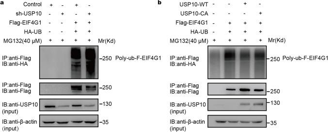 https://cdn.ncbi.nlm.nih.gov/pmc/blobs/5fec/11467297/dc1fc74486c7/41598_2024_74490_Fig3_HTML.jpg