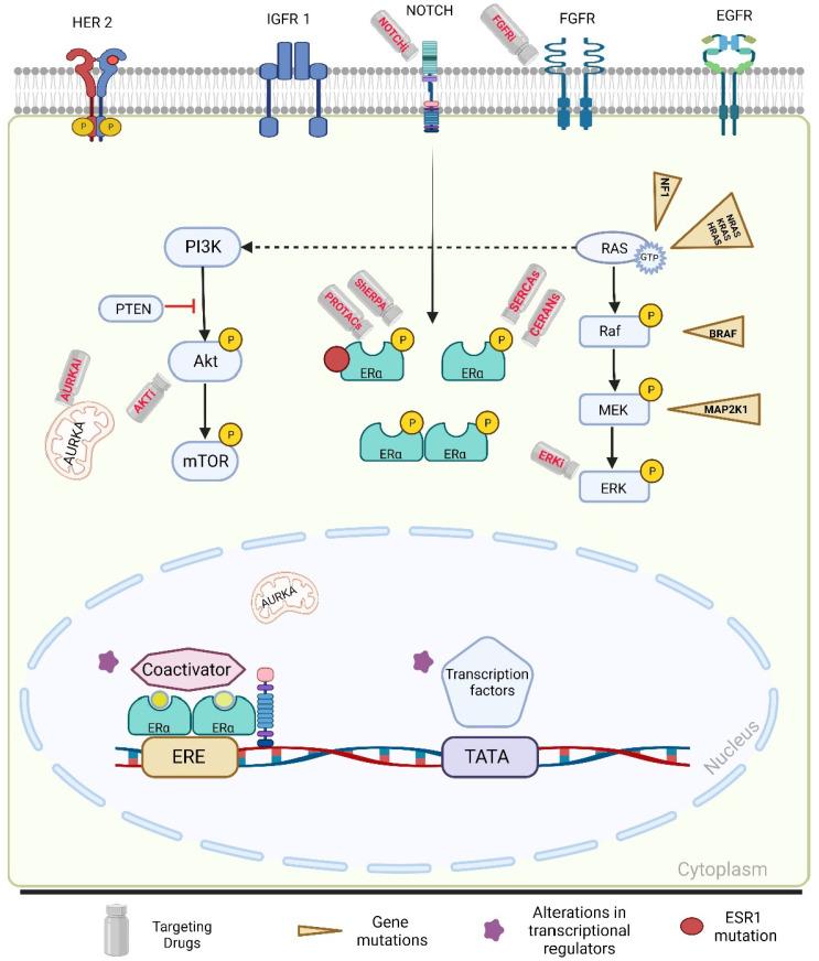 https://cdn.ncbi.nlm.nih.gov/pmc/blobs/5fee/10671474/f5b89f51ca38/ijms-24-16198-g002.jpg