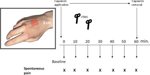https://cdn.ncbi.nlm.nih.gov/pmc/blobs/5ff0/3186125/4997ffdd4cb8/10194_2011_322_Fig1_HTML.jpg