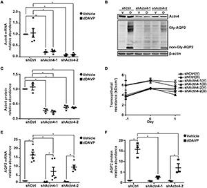 https://cdn.ncbi.nlm.nih.gov/pmc/blobs/5ff1/8674656/253014040f23/fphys-12-725172-g003.jpg