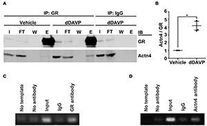 https://cdn.ncbi.nlm.nih.gov/pmc/blobs/5ff1/8674656/7c151a302ace/fphys-12-725172-g002.jpg