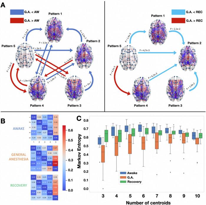 https://cdn.ncbi.nlm.nih.gov/pmc/blobs/5ff2/11443142/3c94c6b2c5a2/42003_2024_6858_Fig4_HTML.jpg