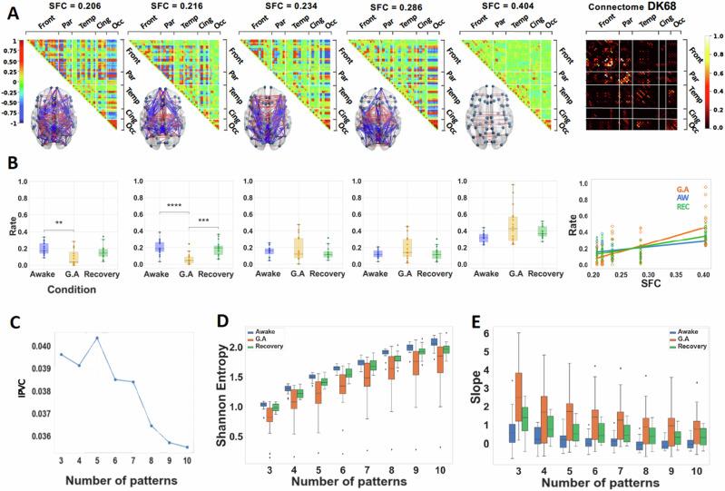 https://cdn.ncbi.nlm.nih.gov/pmc/blobs/5ff2/11443142/9da0185900f9/42003_2024_6858_Fig2_HTML.jpg